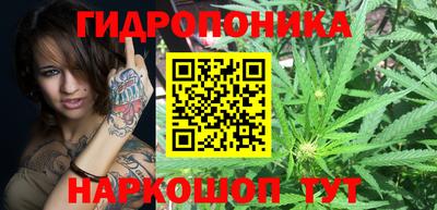 СК Пугачёв