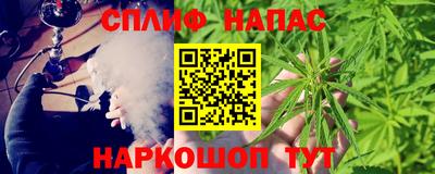 СК Пугачёв